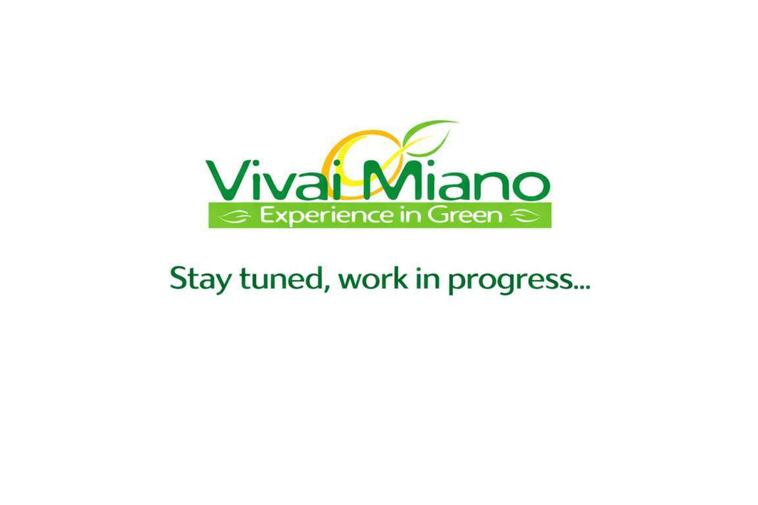 Pianta di Calamondino (vaso - 35)