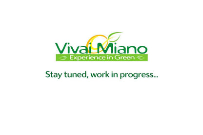 Pianta di Pompelmo (Cespuglio - vaso 35)